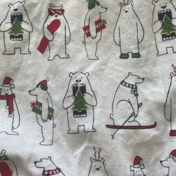 Pottery Barn Teen Polar Bear Duvet and Pillowcase Set - Picture 11 of 13
